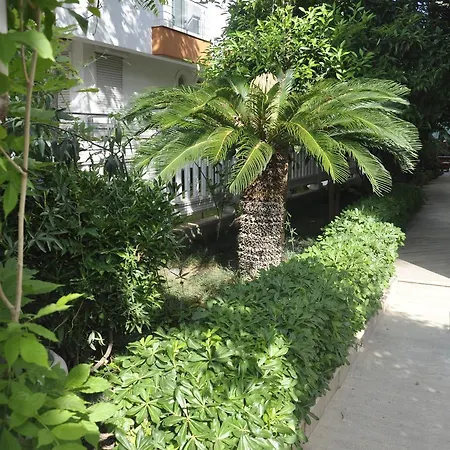 Casablanca